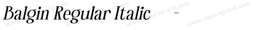 Balgin Regular Italic 语言英文字体转换